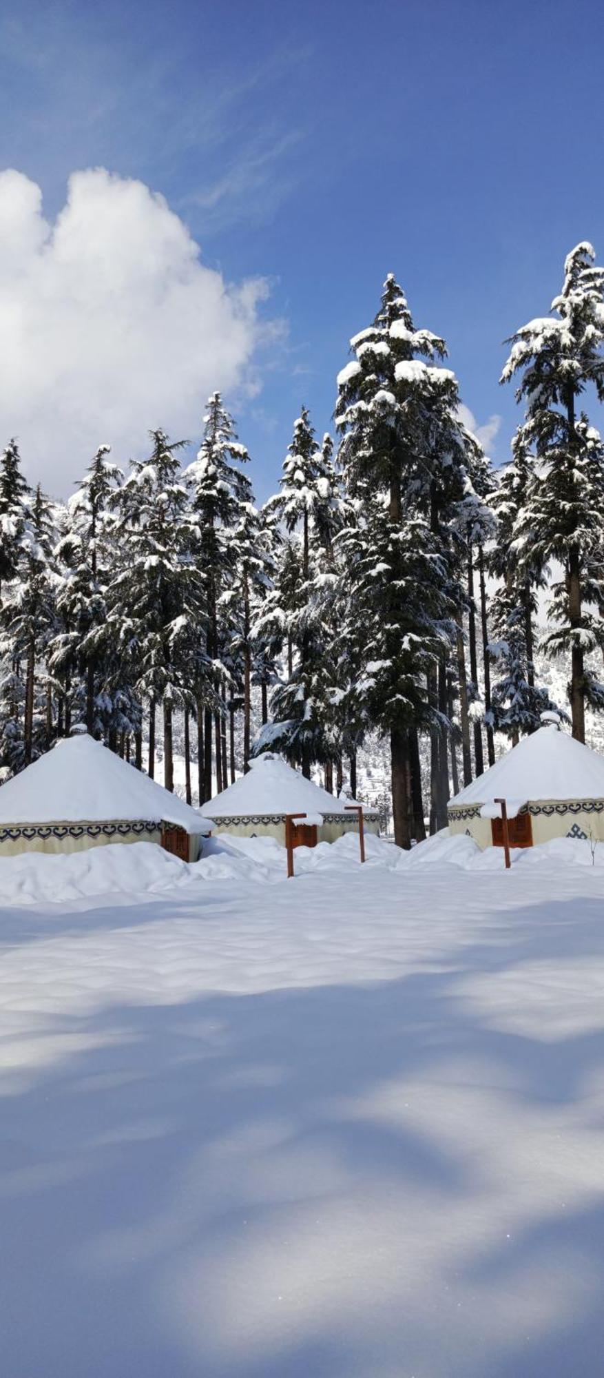 The Glamping Spot Kalam Hotell Exteriör bild